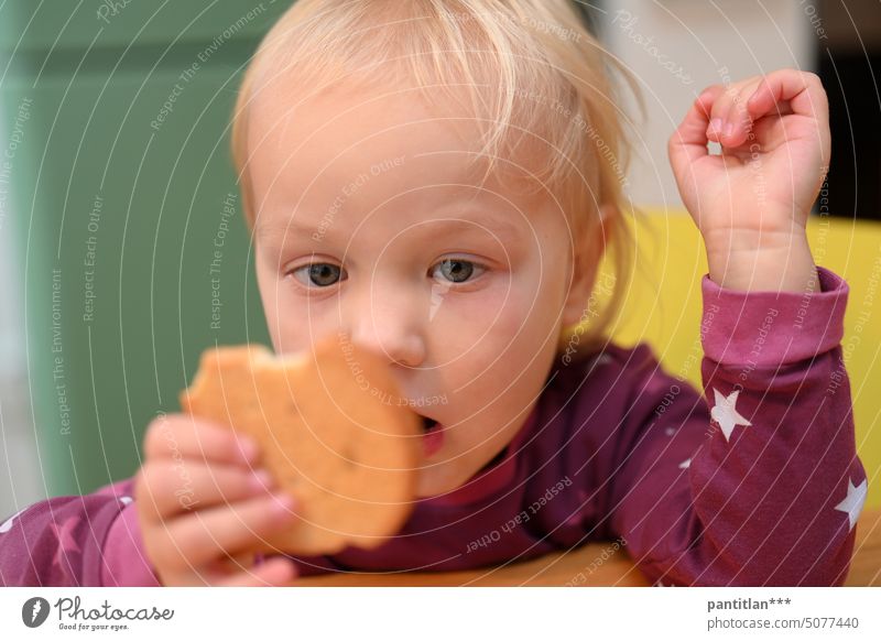 Toddler with rusk Child Girl Eating zwieback Cookie Blonde Nutrition Snack astonished Amazed inquisitorial Delicious salubriously Unhealthy Marvel food products