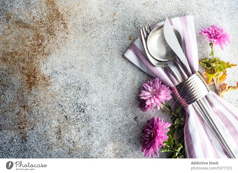 Place setting for autumnal dinner Chrysanthemum aster asteraceae background chrysanths concrete cutlery dinnerware fall floral flower napkin natural nature