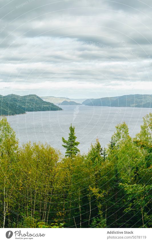 Picturesque view of lake and mountains tree slope forest nature landscape cloudy sky environment canada weather water season scenic breathtaking picturesque