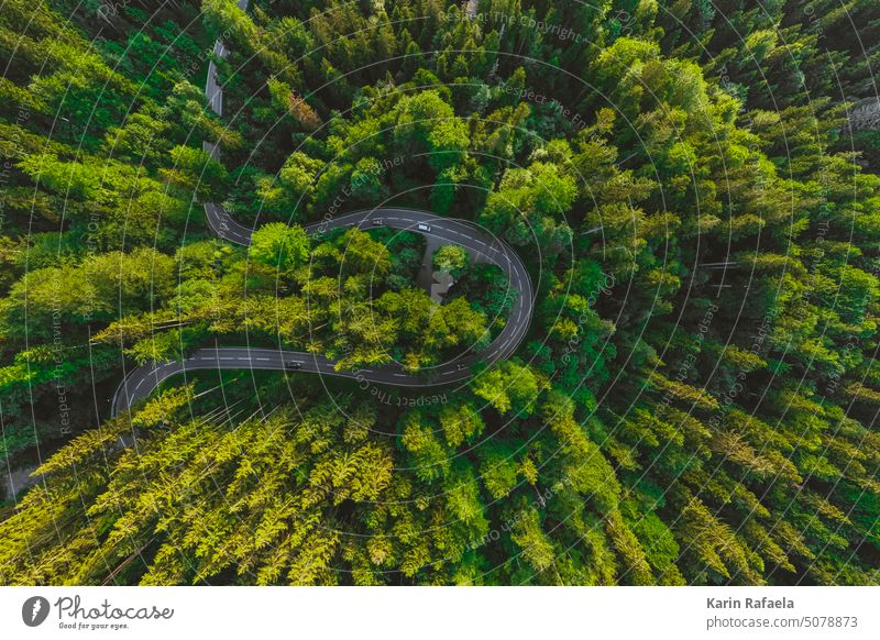 Street loop from the air Forest Green Aerial photograph UAV view Landscape Nature Environment Tree Deserted Exterior shot Above Bird's-eye view