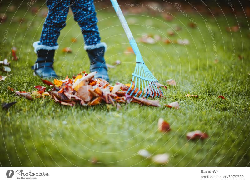 Child rakes leaves in garden foliage Autumn Autumnal Diligent Parenting Rake autumn mood Early fall