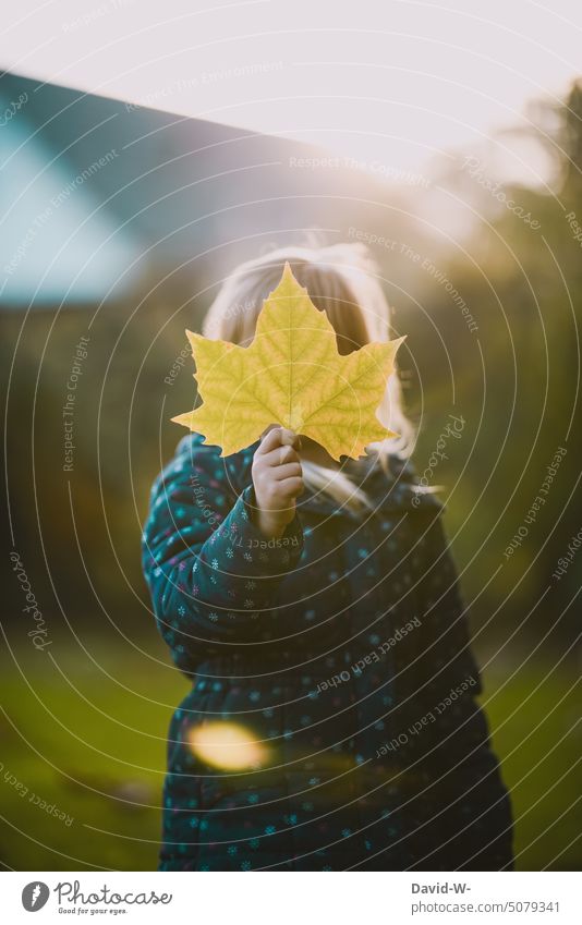 Girl hiding behind a colorful leaf in autumn Autumn Autumnal Cute Autumnal colours Early fall Child Leaf Sunlight variegated Pattern Nature Hand stop Hide