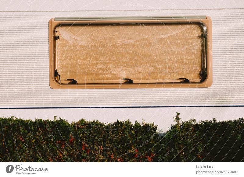 View of mobile home window with blinds down, in front of autumn thuja hedge Mobile home Motorhome window Roller blind Window Venetian blinds Closed