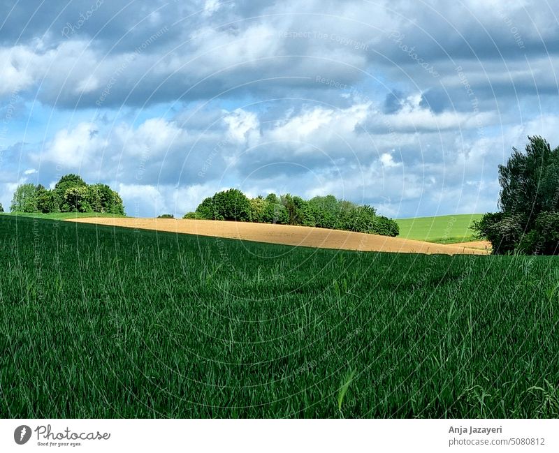 Wetterau: landscape with grain field, trees and clouds young grain field Clouds Colours of nature Force tranquillity