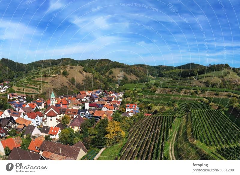 Aerial view of Schelingen am Kaiserstuhl with view of the vineyards. Schelingen, Vogtsburg am Kaiserstuhl, Breisgau, Black Forest, Freiburg, Baden-Württemberg, Germany.