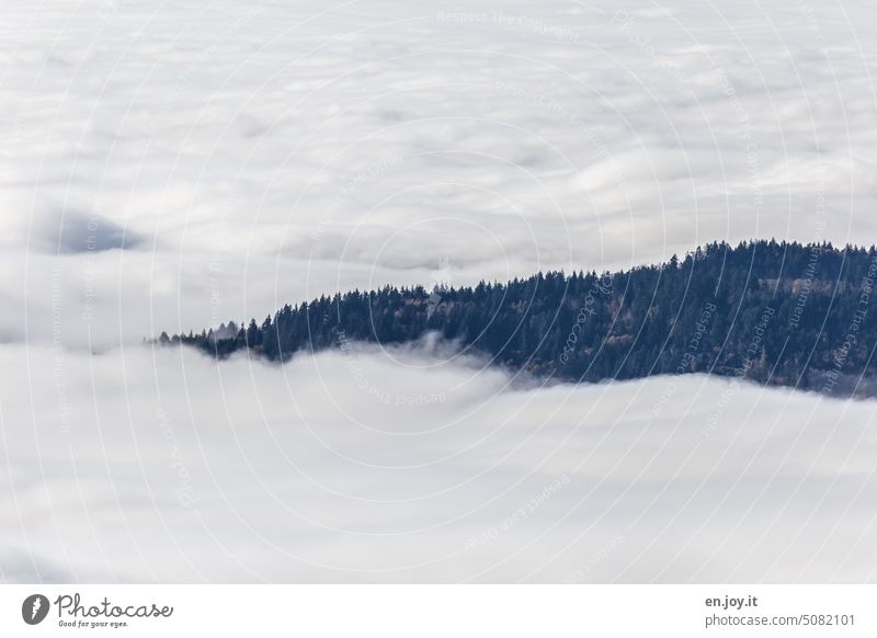 inversion weather conditions inversion weather situation Clouds Cloud cover ridges sea of clouds Cloud field Mountain Deserted Landscape Nature Weather Day