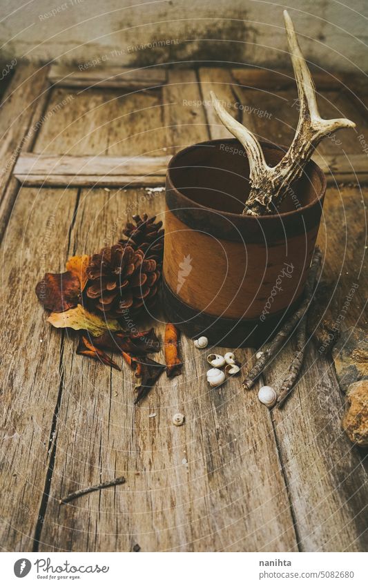 Rustic still life  background with wild and forest stuff autumn fall wood horn rustic leaf pinecone vertical aged old animal deer forestry surface box brown