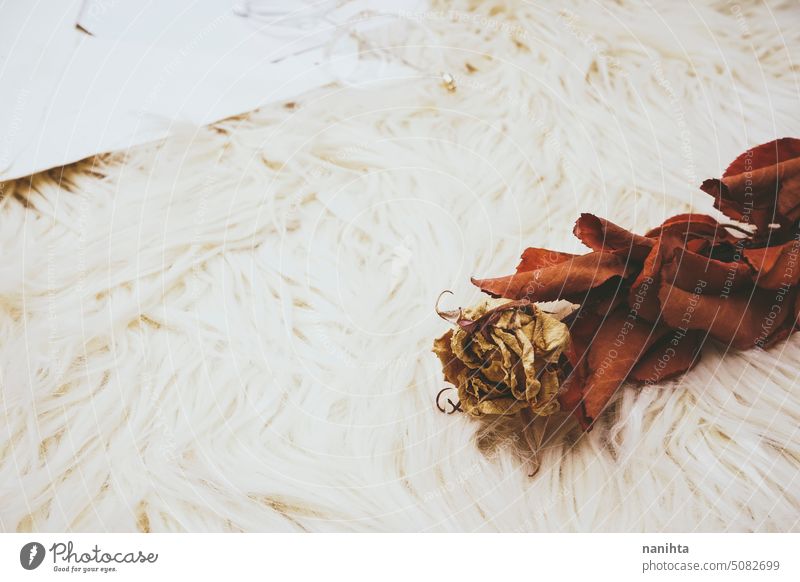 Background of a dried rose over a soft carpet near a vintage envelope background texture romantic fall flower cozy fur natural organic decor decorative neutral