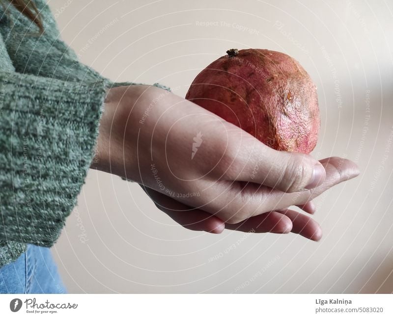 Woman's hands holding grapefruit Grapefruit Fruit Food Orange Citrus fruits Healthy Fresh Organic produce Nutrition Vitamin Healthy Eating Delicious