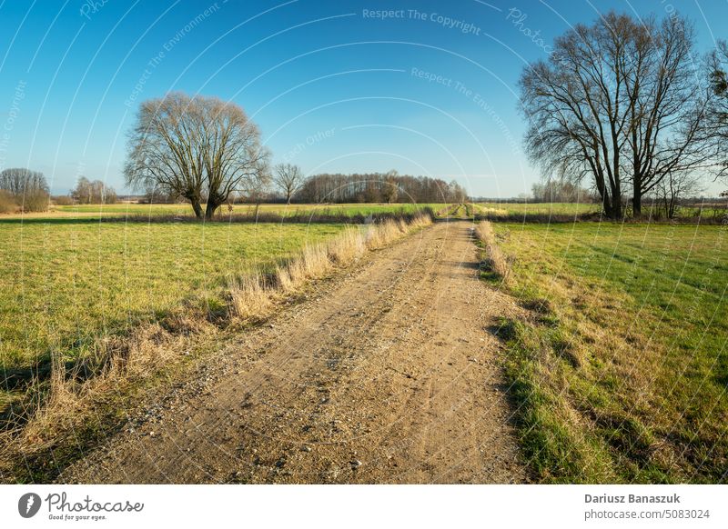 Unpaved road between meadows and trees, picturesque eastern Poland grass nature field sky rural landscape view path green countryside travel agriculture