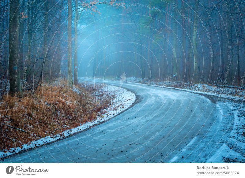 A bend in a foggy winter forest tree nature road curve snow outdoor environment wood frost horizontal no people transportation photography white cold landscape