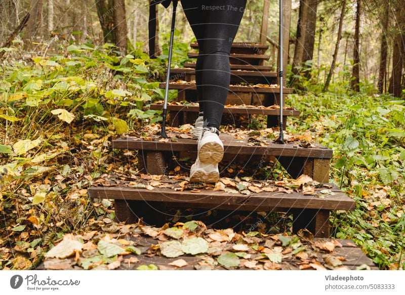 Back view of shoes woman hiker walking on the wooden stairs outdoor travel nature legs hiking adventure exercise lifestyle trekking sport people jogger explore