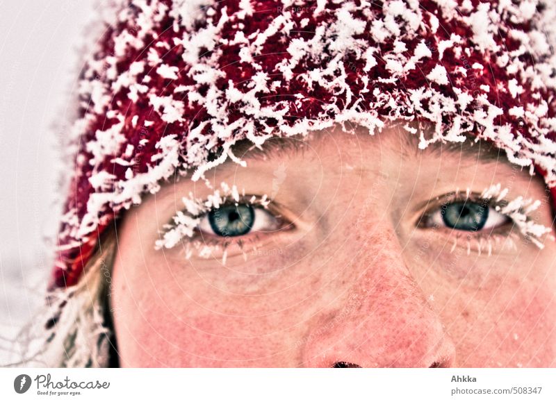 Iced eyes of a young woman in winter Lifestyle Exotic already Personal hygiene Face Healthy Athletic Fitness Young woman Youth (Young adults) Eyes Eyelash