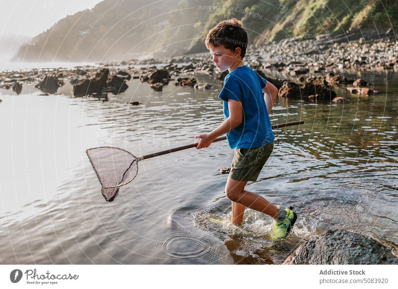 Boy with fish scoop on rocky shore boy net coast summer fishing kid childhood fisher shallow activity carefree hobby sunlight stone equipment pleasure beach