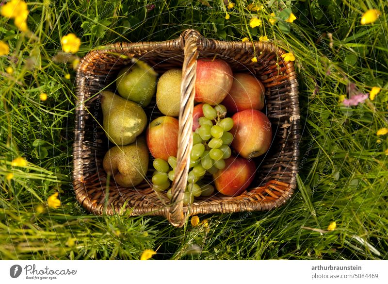 Fruit basket in spring in the flower meadow Blossom fruits Apple Blue flowers blossom feed sb./sth. Nutrition Spring Yellow salubriously Healthy Eating Grass