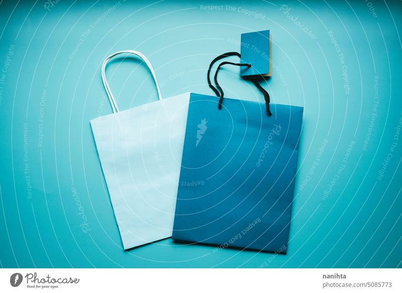 Simple flat lay mockup of two gift bags in blue tones background cool cold white blank copy space negative design simple minimal minimalistic customize tag