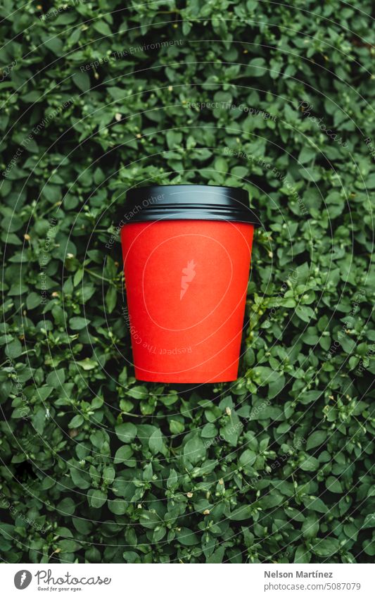 Red paper cup coffee resting on a green floral background beverage isolated closeup cappuccino drink hand hot drink food mug design male bottle lid take-away
