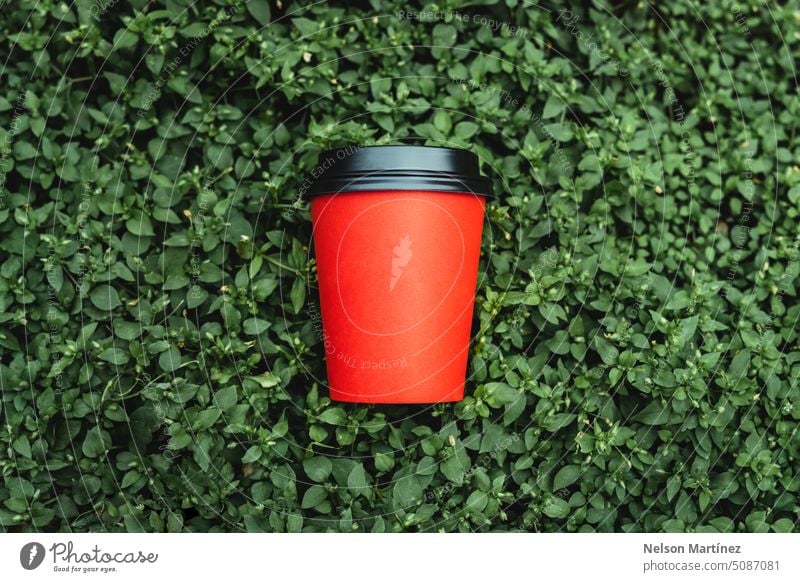 Red paper cup coffee resting on a green floral background beverage isolated closeup cappuccino drink hand hot drink food design male bottle lid take-away