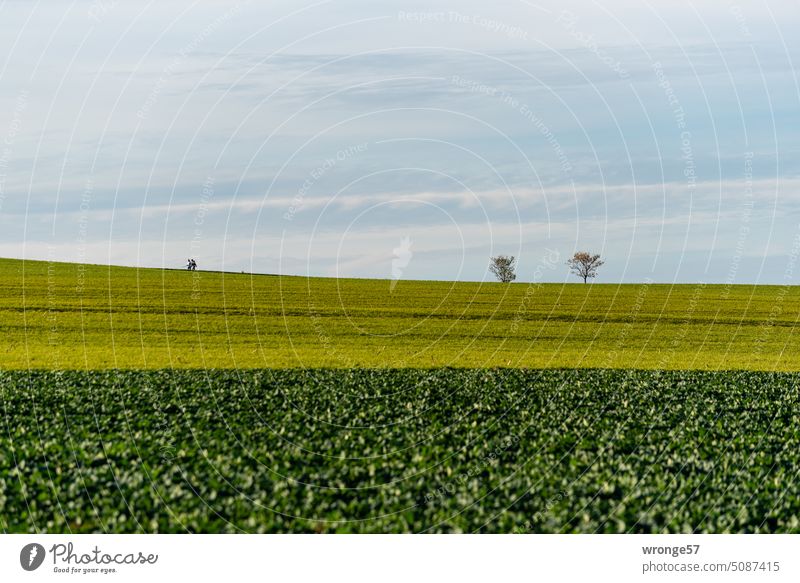 Distance | 2 people with dog in far distance on horizon wide Landscape Exterior shot Horizon cloudy Sky Far-off places fields Foreground blurred Colour photo