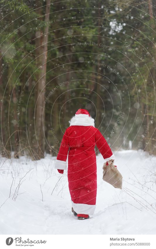Santa Claus with bag of Christmas gifts is walking through snowy forest. Animator or parent in Santa Claus costume is rushing to a holiday for children. St. Nicholas Day.