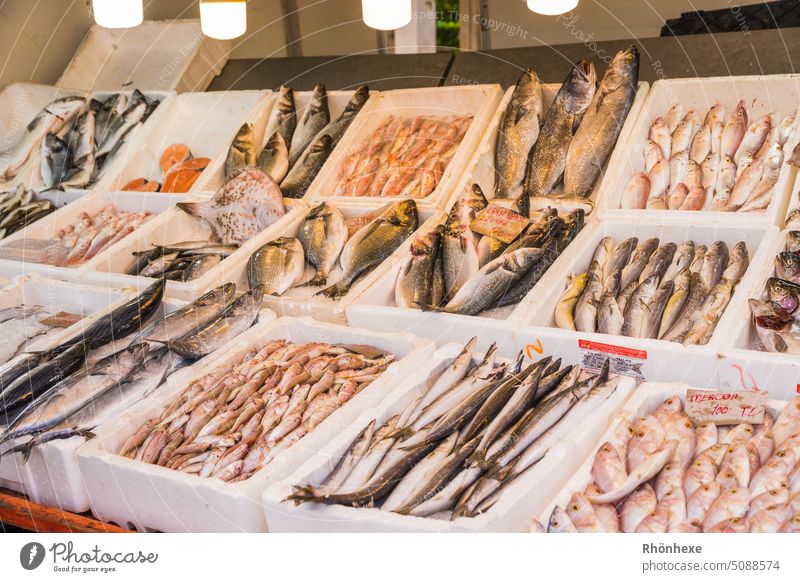 Fresh fish at a Turkish market Fish Food Colour photo Deserted Delicious Healthy Eating Day Markets Market stall vacation Turkey Marketplace Exterior shot