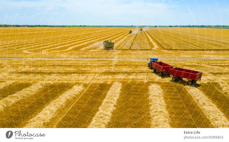 Above view on harvest season at agricultural plot, combine harvesting wheat, tractor drag trailers Aerial Agriculture Cereal Combine Country Crop Cultivation