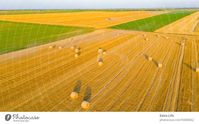 Aerial view over agricultural fields in harvest time, season, round bales of straw over harvested field Above Agriculture Bale Cereal Combine Country Crop Dry