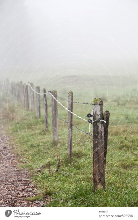 I've got one of those too. Environment Nature Landscape Autumn Bad weather Fog Field Natural Gray Green Fence post Rural Colour photo Subdued colour