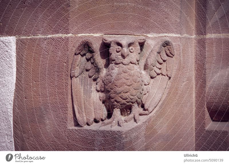 Owl carved in stone on the round arch of a window of the New Town Hall in Rathausgasse, Freiburg im Breisgau, Baden-Wurttemberg, Germany. owl stonework