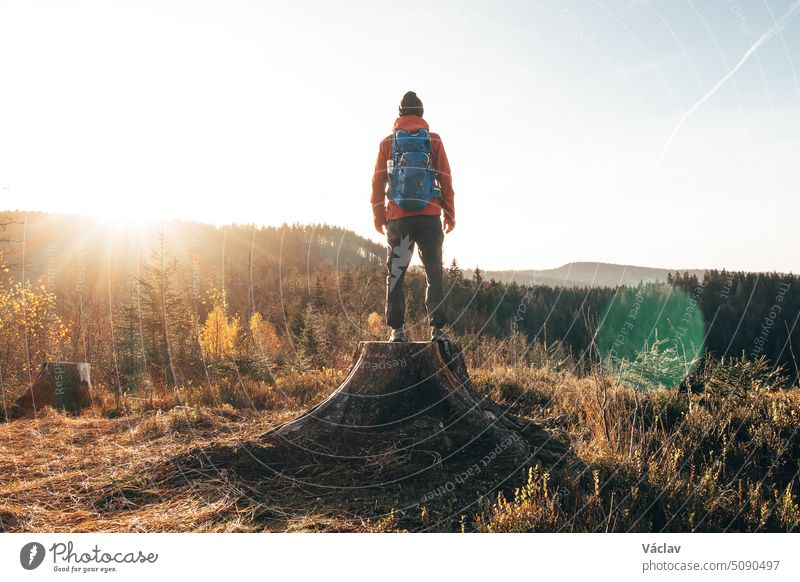 Active hiker standing on a stump enjoys the feeling of reaching the top of the mountain at sunrise. A hiker is enlightened by the morning sun and enjoys the view. Beskydy mountains, Czech Republic