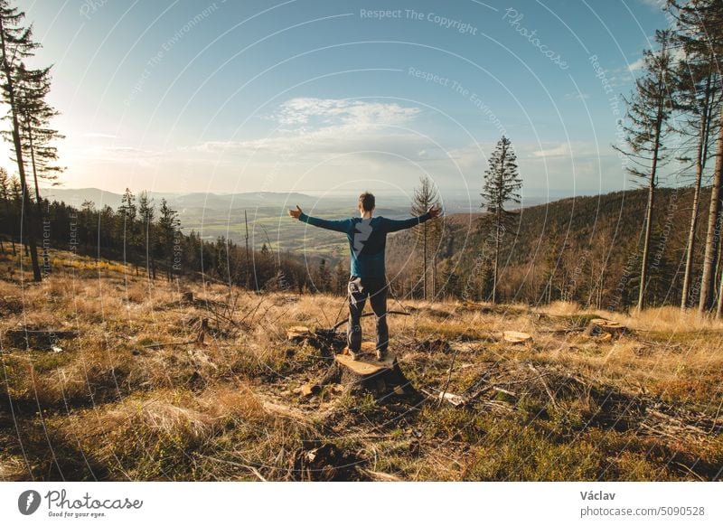 Enthusiastic traveller stands on a stump in a clear-cut forest and looks down into the valley. Happy to have reached his goal. Beskydy mountains, Czech republic