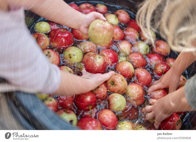 Apple festival - washing apples children hands fruit Water Waldorf Kindergarten shine