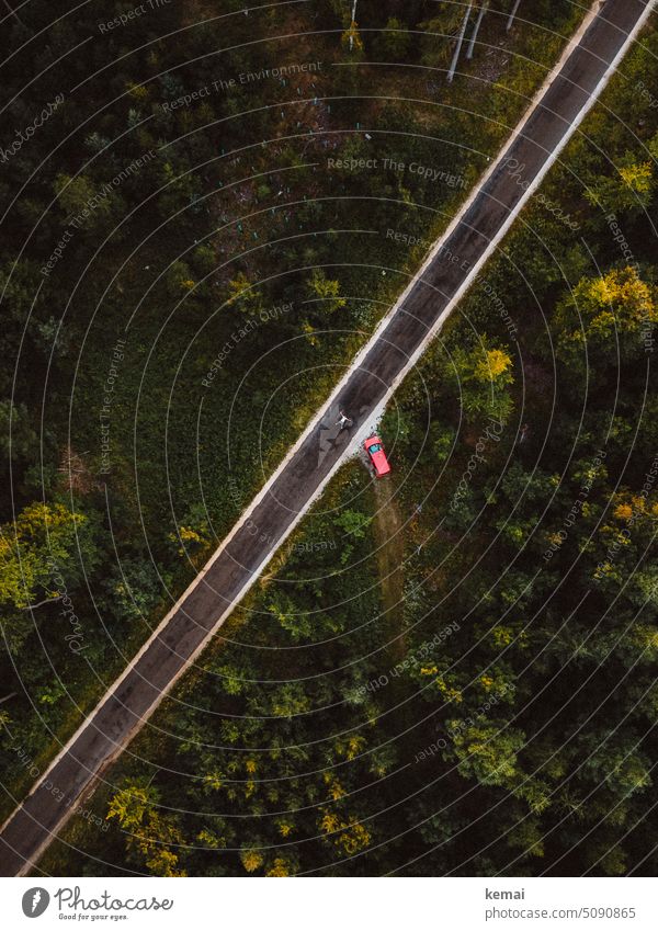 Road through forest, car and lying people from above Forest Street Green Red person Lie Direct Forest path off Transport UAV view drone photo Drone Photography