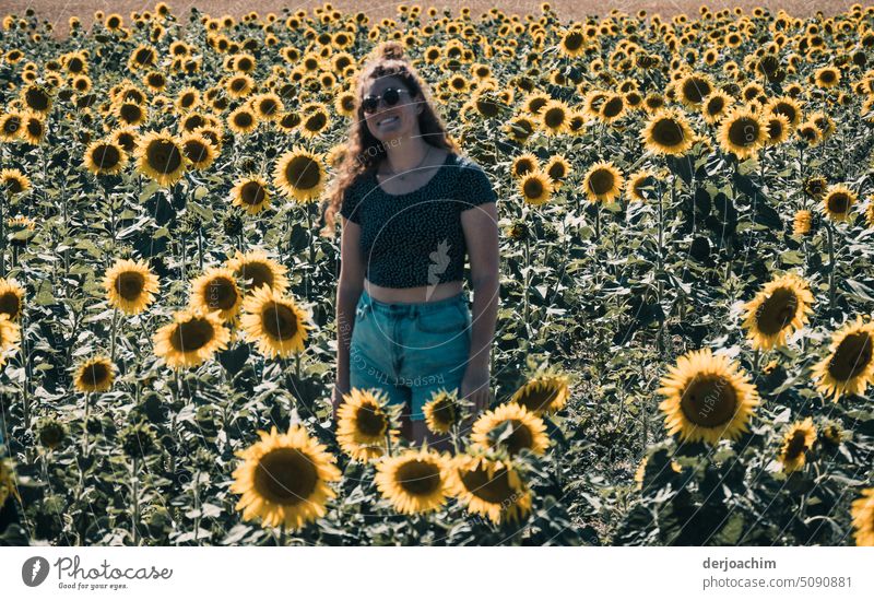 My sunflower girl. Sunflower field Summer Flower Field pretty Landscape Growth Blossom Exterior shot Colour photo Plant Yellow Nature Deserted Many Blossoming