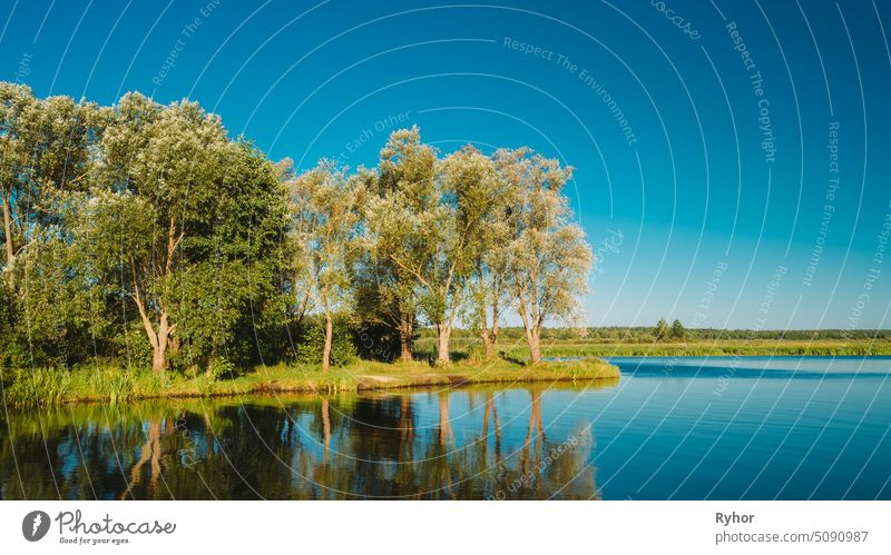 Water Surface Of Lake Pond River At Summer Sunny Evening. Nature Of Belarus And European Part Of Russia landscape water beautiful eastern europe scene sky clear
