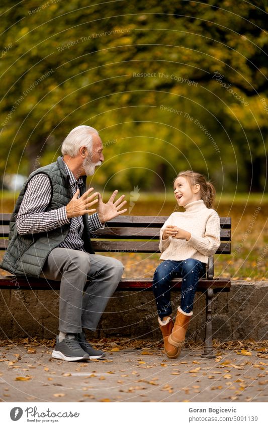 Grandfather playing red hands slapping game with his granddaughter in park on autumn day adult aged bonding caucasian caucasian ethnicity child childhood
