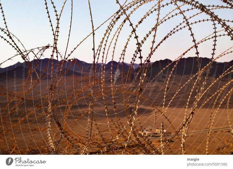 Israel, Negev, barbed wire - border Barbed wire Border Desert Barbed wire fence Safety Threat Barrier Dangerous Wire Freedom Deserted captivity Exterior shot