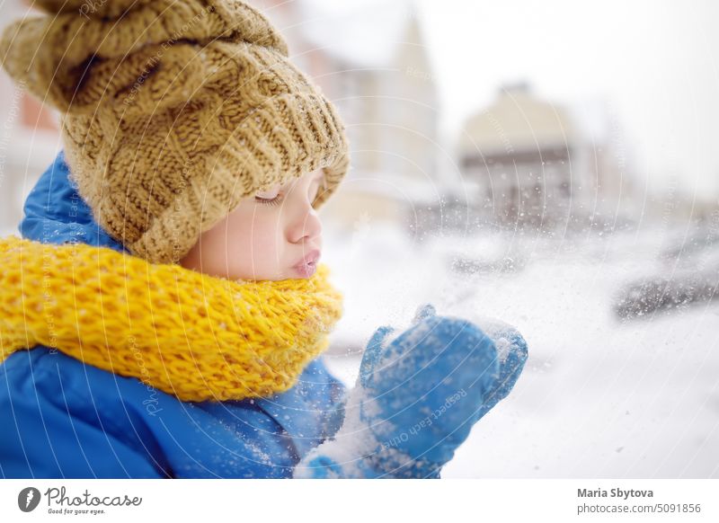 Little boy blowing snow from his hands. Child enjoy walking in the park on snowy day. Baby having fun during snowfall. Outdoor winter activities for kids. child