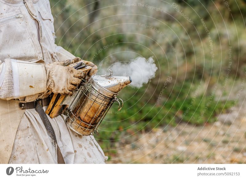 Anonymous beekeeper in apiary with bee smoke transmitter man person countryside work busy apiculture honey tool equipment hobby production natural village dirty