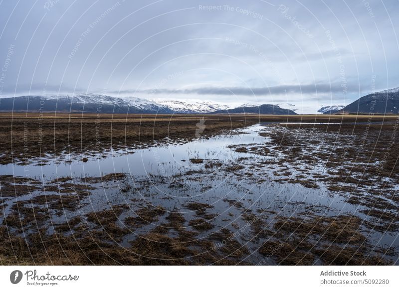 Water covered land with grass near snowy mountains of Iceland water melt spectacular ice breathtaking dull frozen formation environment cold iceland nature gray