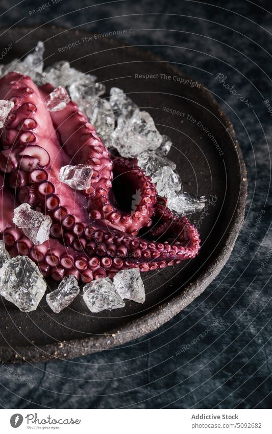 Cooked octopus on plate with ice cooked dish tentacle round cube seafood portion product organic fresh natural nutrition delicious gastronomy serve cold edible
