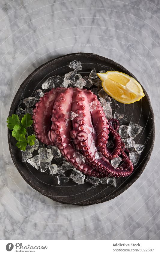 Cooked octopus on plate with ice cooked dish lemon parsley tentacle round cube seafood portion product organic fresh natural nutrition delicious gastronomy