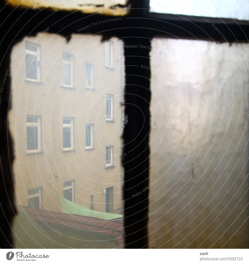 veiled | The window to the courtyard Window Old building Period apartment House (Residential Structure) Fog Backyard Dirty Berlin Facade