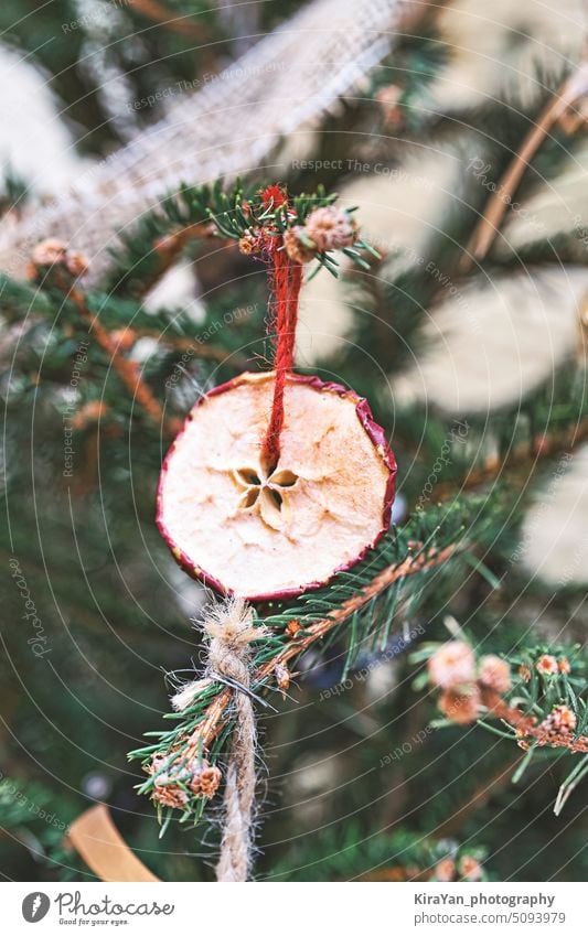 Decorating Christmas tree with dried piece apple with ribbon. Natural Xmas ornaments for Christmas tree, zero waste christmas diy decoration zero-waste
