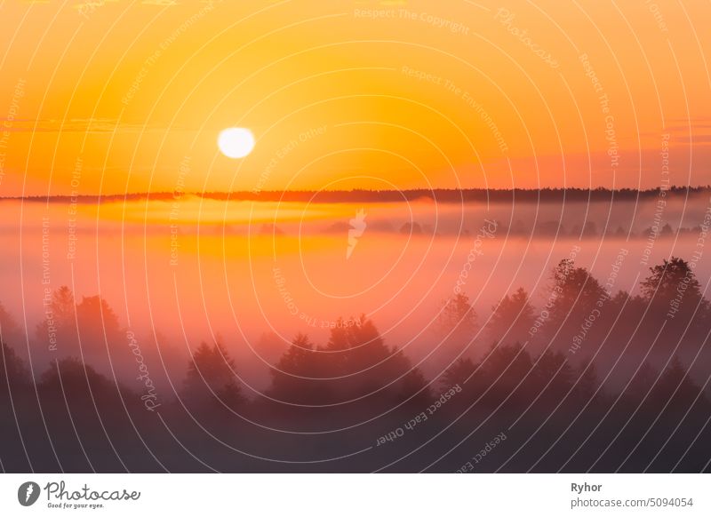 Amazing Sunrise Over Misty Landscape. Scenic View Of Foggy Morning Sky With Rising Sun Above Misty Forest. Middle Summer Nature Of Europe colour park