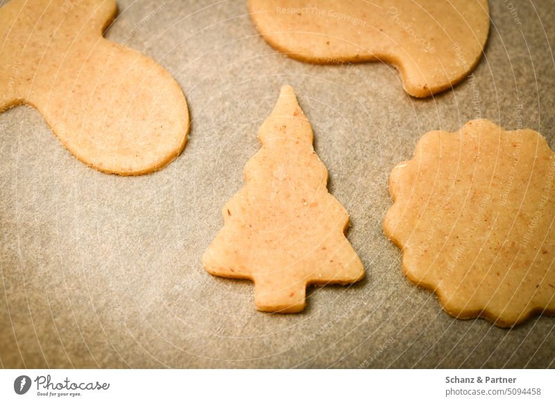 cut out raw dough as a fir tree for Christmas cookies on baking paper biscuits Cookie Christmas tree Baking Christmas biscuit Christmas & Advent cut out cookies