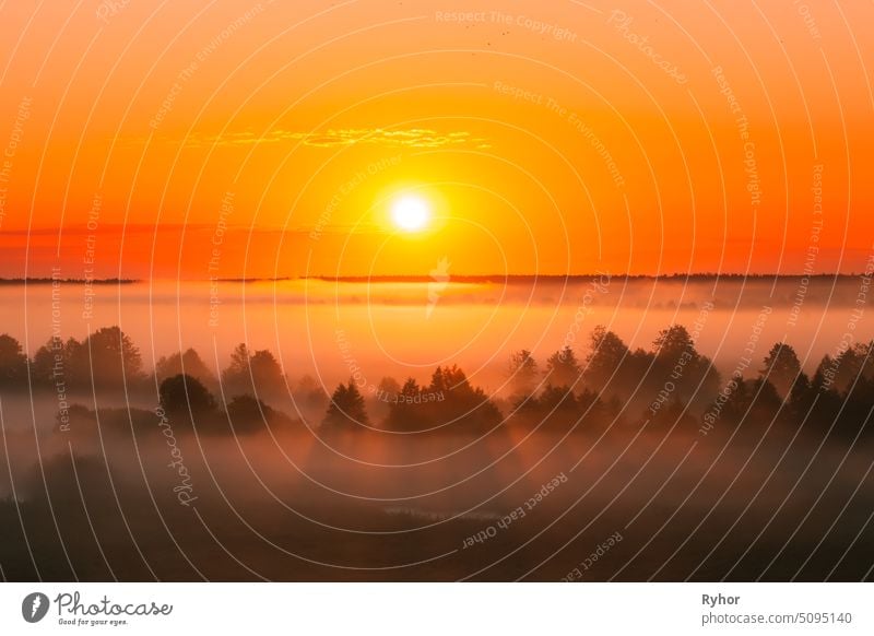 Amazing Sunrise Over Misty Landscape. Scenic View Of Foggy Morning Sky With Rising Sun Above Misty Forest. Middle Summer Nature Of Europe landscape sun season