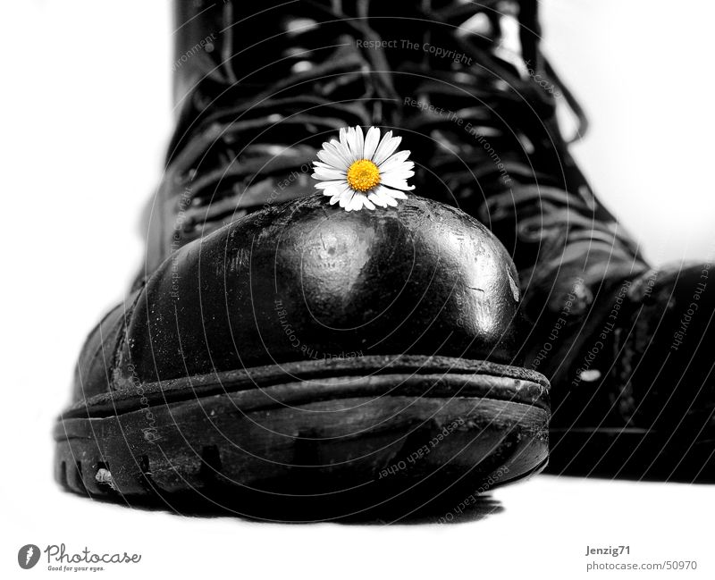 Hard shell. Boots Footwear Laced boot Combat boots Daisy Flower Force