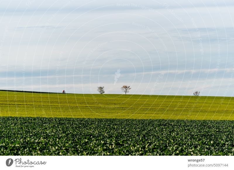 cross-country wide Landscape Exterior shot Horizon cloudy Sky Far-off places fields Foreground blurred Colour photo acre persons Nature Lanes & trails Movement