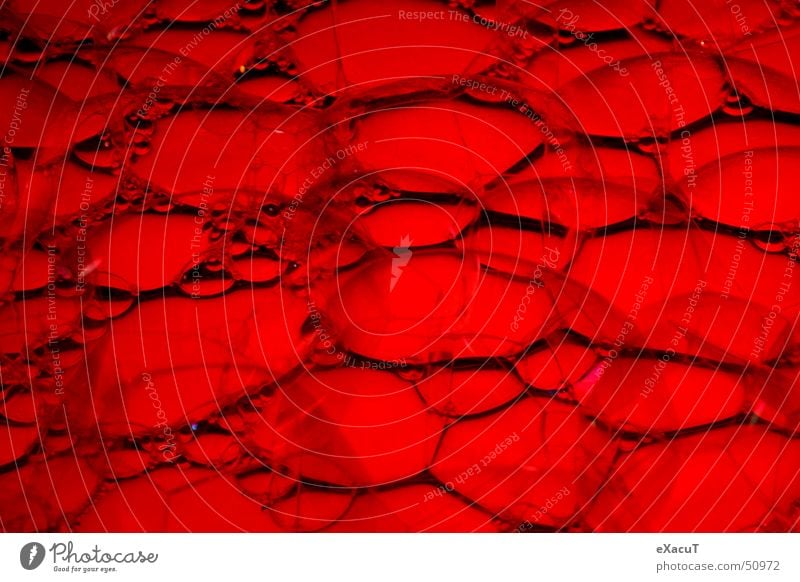 Blood_Bubbles Red Soap Transparent Fragile Sensitive Delicate Water Structures and shapes Fluid